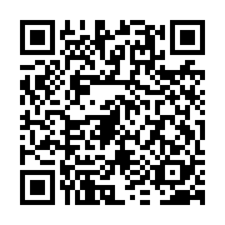 QR code for plate VI9-N289