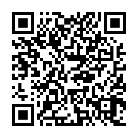 QR code for VJV008
