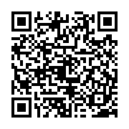 QR code for VL0-G539