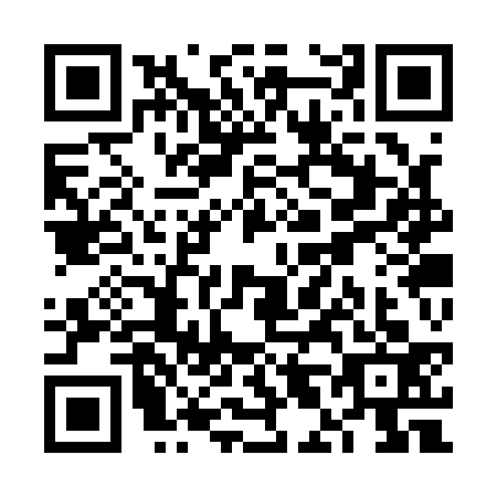 QR code for plate VL3-Q332