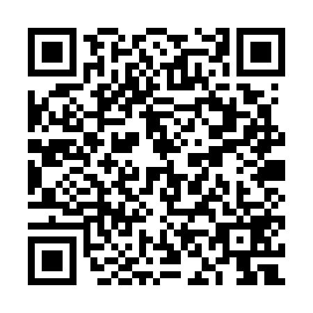 QR code for VN0-W593