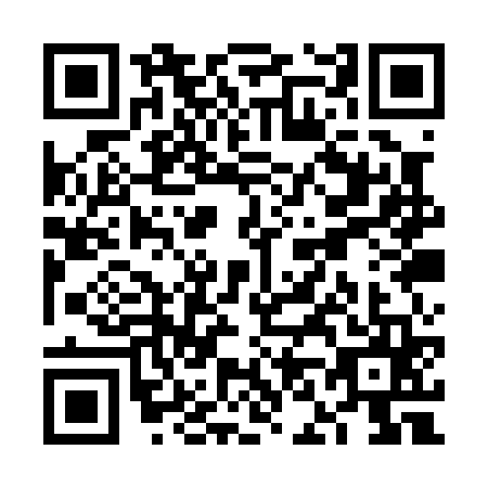 QR code for VN1-P654