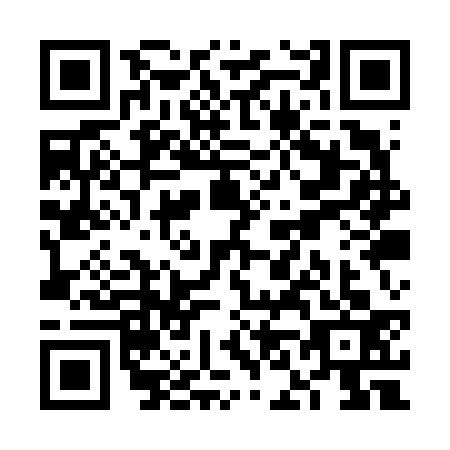 QR code for VN1V333