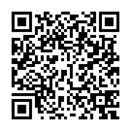 QR code for VN3-M385