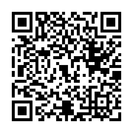 QR code for VN3R382