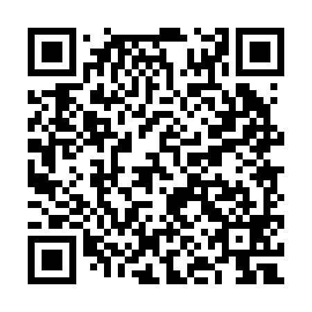 QR code for VNP-299