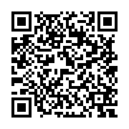 QR code for VNS-8029
