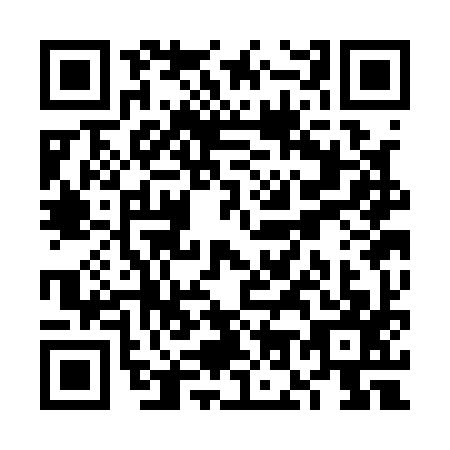 QR code for VO3-A979