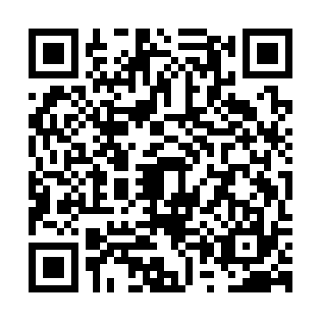 QR code for VP9-C376