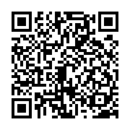 QR code for plate VP9-E596