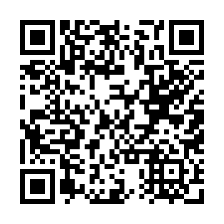 QR code for plate VPU-381