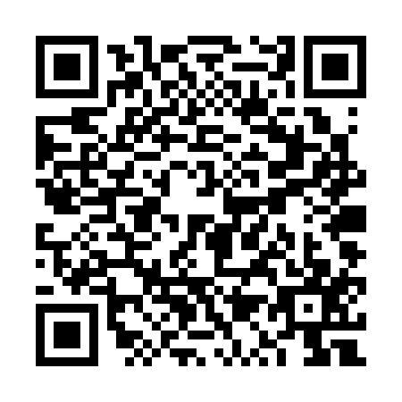QR code for VQ4-S173