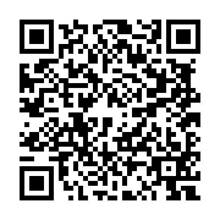QR code for plate VR0-L939