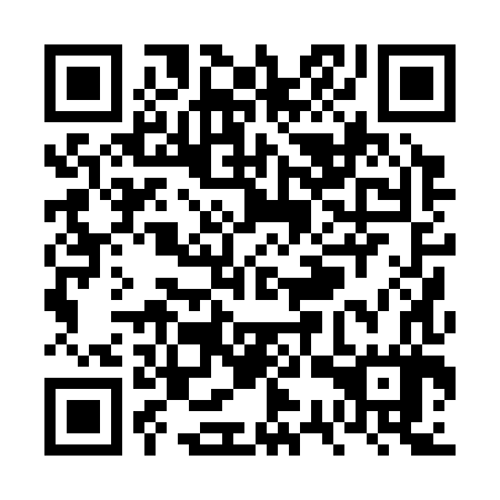 QR code for VSP-387