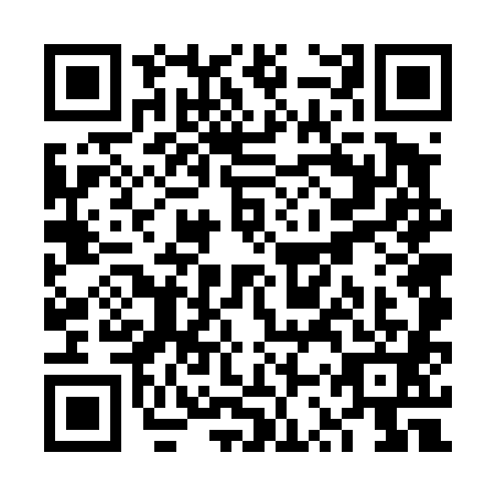 QR code for plate VSV-4817