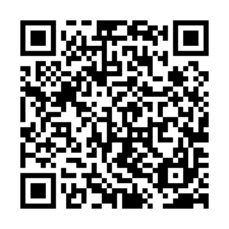 QR code for plate VTL-197