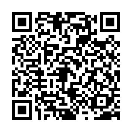 QR code for VV9-P095