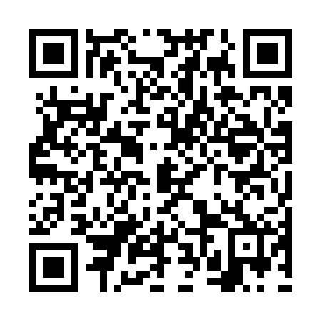 QR code for plate VVO-222