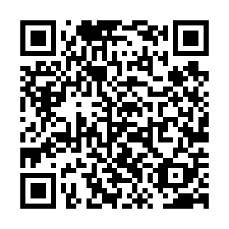 QR code for plate VWL-609