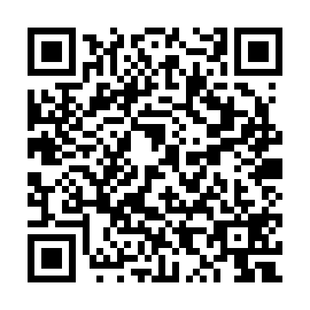 QR code for plate VX0-R190