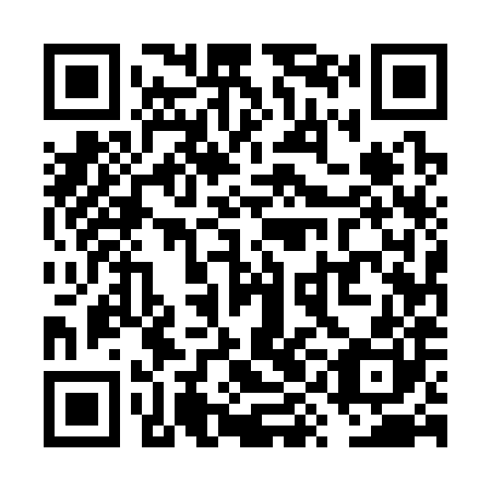 QR code for plate VYE-380