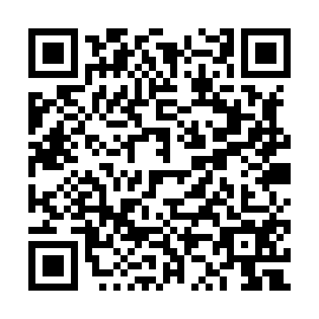 QR code for VZ1-X541