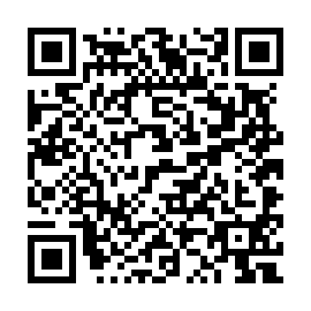 QR code for plate VZ4-N907