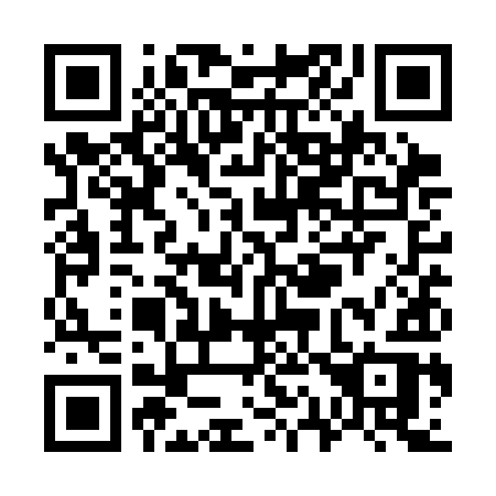 QR code for plate W11-SIR