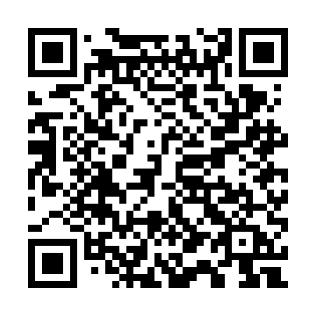 QR code for W17-FEA