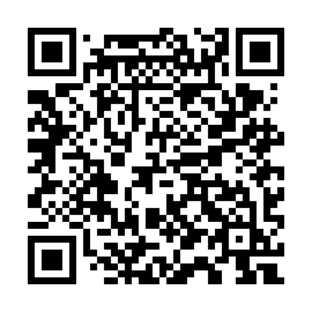 QR code for plate W17-FIJ