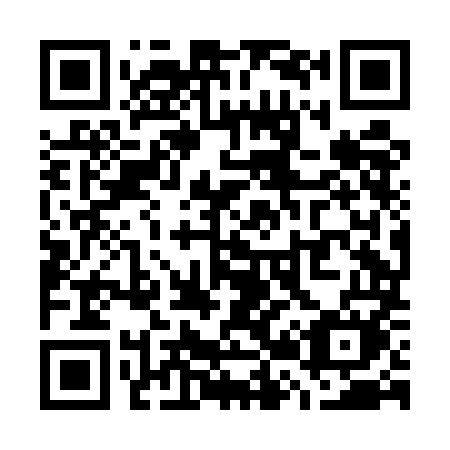 QR code for plate W28-EMM