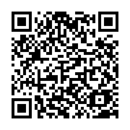QR code for plate W36-ICE