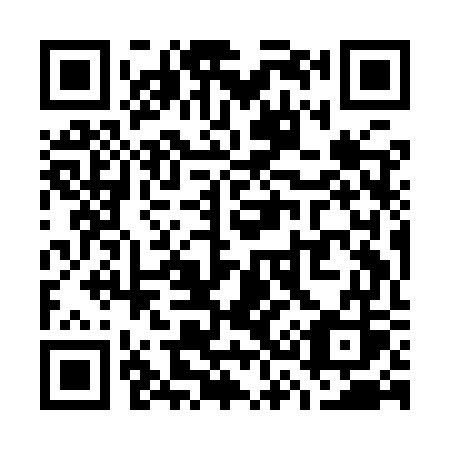 QR code for plate W39-IWS