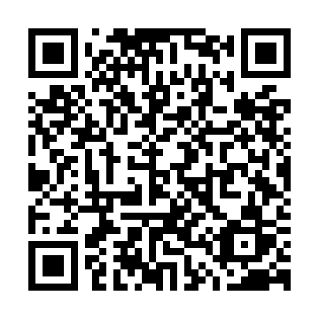 QR code for plate W46-OCR