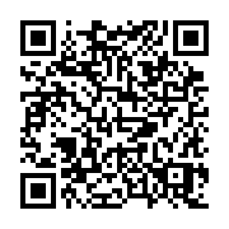 QR code for plate W49-CHR