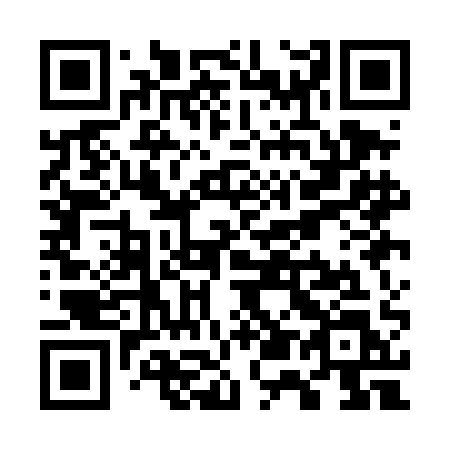 QR code for W51-DAL