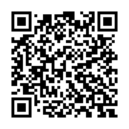 QR code for plate W53-OZF