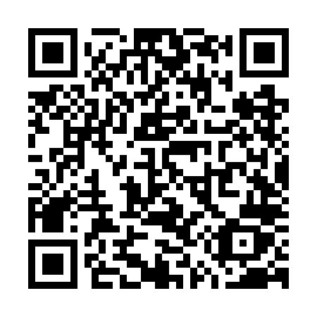 QR code for plate W56-WLZ