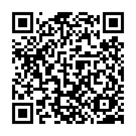 QR code for W63DUM