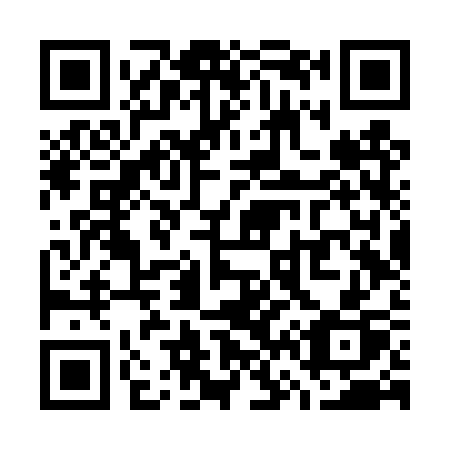 QR code for plate W66-TSP