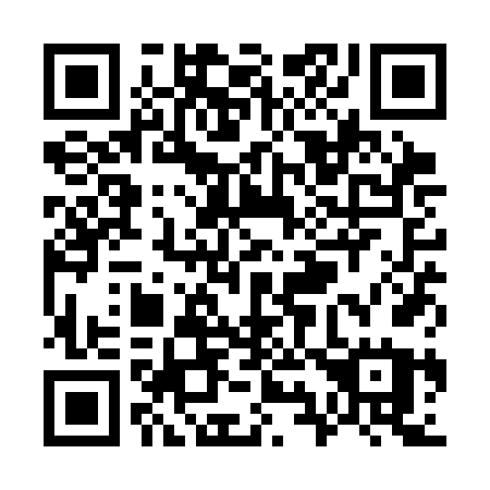 QR code for plate W91-SFU
