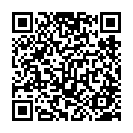 QR code for plate W96-FLO