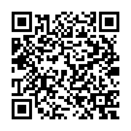 QR code for WI1-Z313