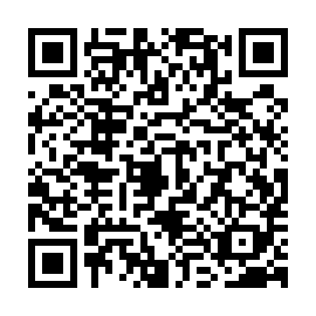 QR code for plate WL1-U893