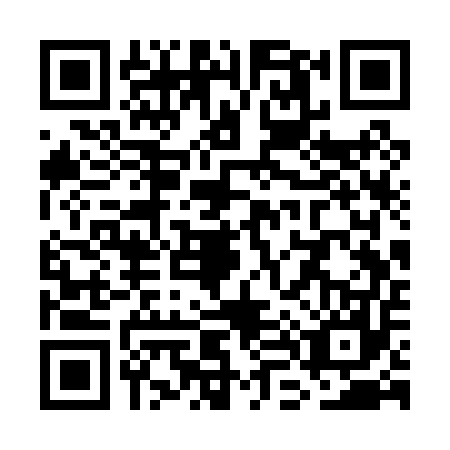 QR code for WL3-P579