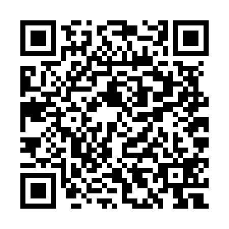 QR code for plate WL6-N199