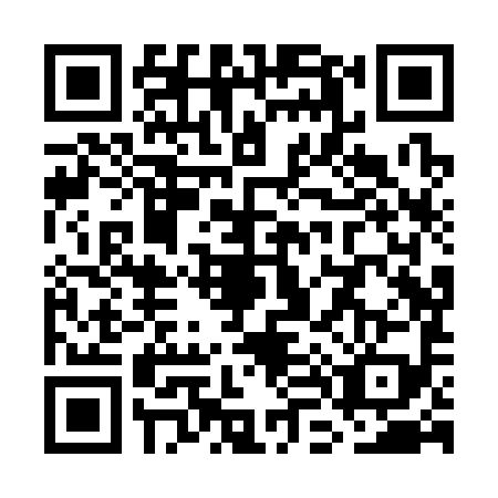 QR code for plate WL8-S990
