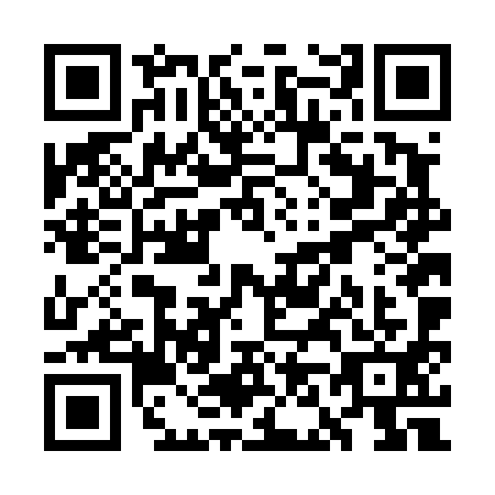 QR code for WN6-D911