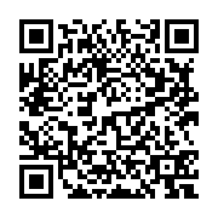 QR code for plate WN9-H313