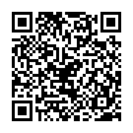 QR code for plate WO0-R767